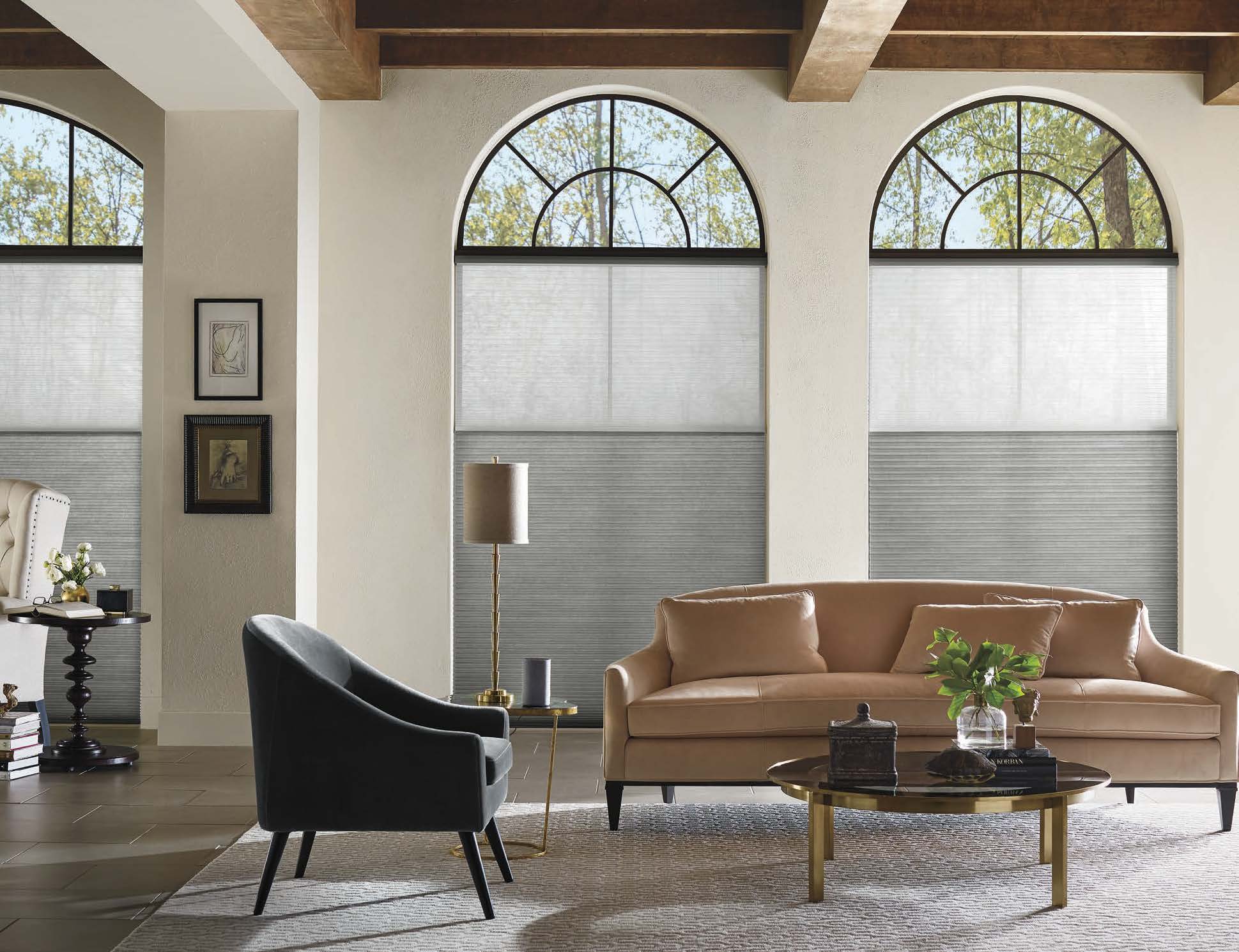 Hunter Douglas Applause Duolite — honeycomb cellular shade with light filtering and blackout